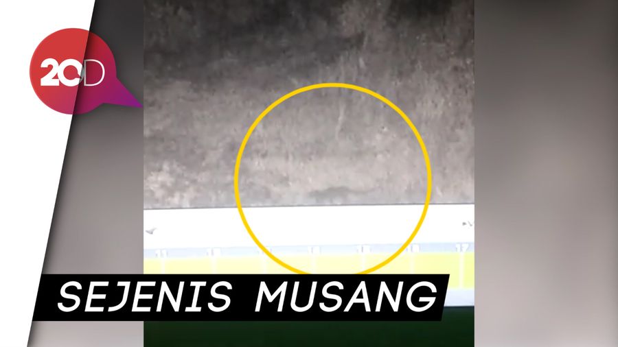 Sosok Makhluk Diduga Pengisap Darah Ternak di Taput