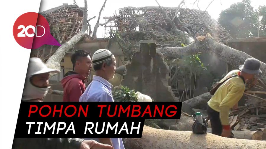 5 Rumah di Subang Tertimpa Pohon Tumbang, 1 Tewas 10 Luka