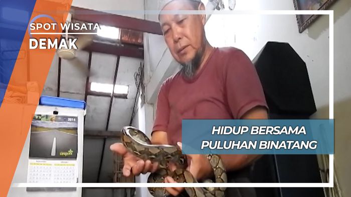 Hidup Bersama Puluhan Binatang, Demak