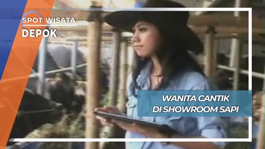 Wanita Cantik di Showroom Sapi Cimanggis Depok