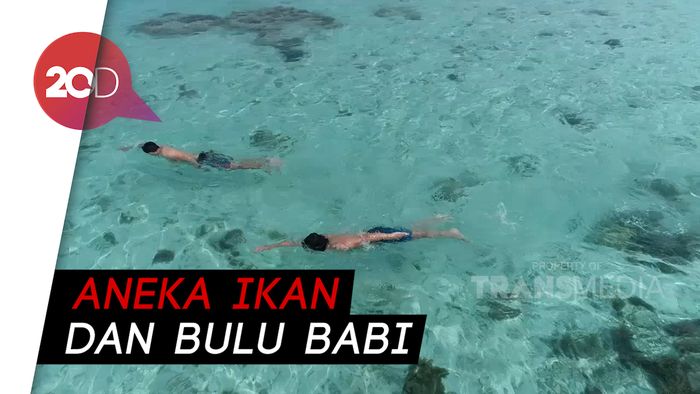 My Trip My Adventure: Renang Bareng Biota Laut di Karang Atol