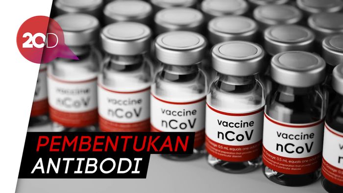 Respons Kekebalan yang Diharapkan dari Vaksinasi COVID-19