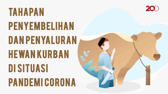 Tahapan Penyembelihan & Penyaluran Hewan Kurban di Masa Pandemi Corona