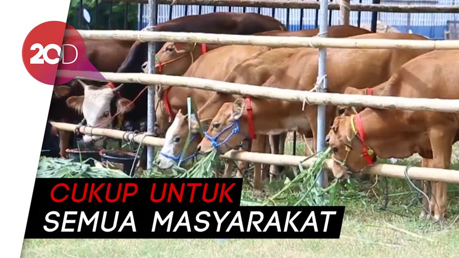 Kementan Pastikan Hewan Kurban Cukup dan Sehat untuk Masyarakat