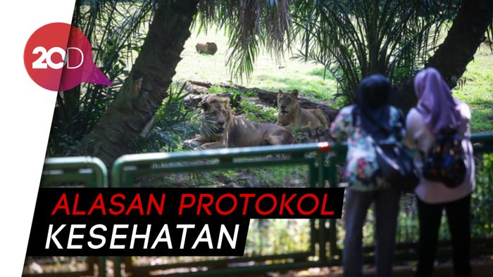 Mau ke Taman Margasatwa Ragunan? Ingat Durasi Kunjungannya Dibatasi