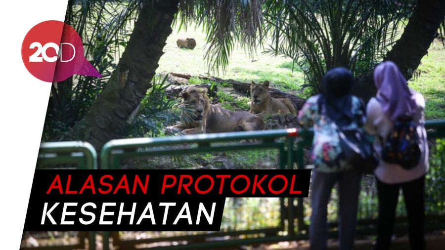 Mau ke Taman Margasatwa Ragunan? Ingat Durasi Kunjungannya Dibatasi