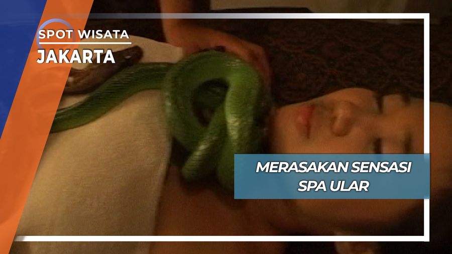 Sensasi Unik Spa Ular Jakarta Selatan