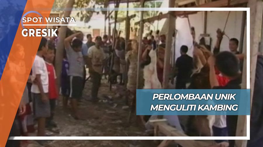 Lomba Unik Menguliti Kambing Desa Kedanyang Kebomas Gresik