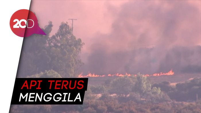 Kebakaran Hutan California Makin Ngeri, 8.000 Hektare Hangus