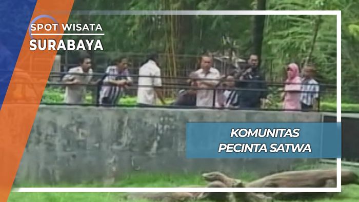 Komunitas Pecinta Satwa, Surabaya
