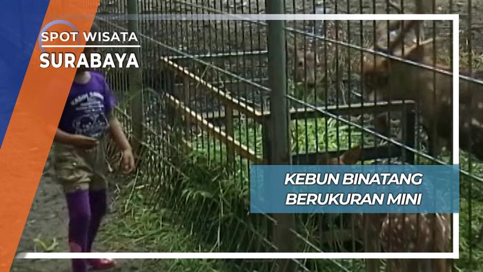 Kebun Binatang Mini, Surabaya