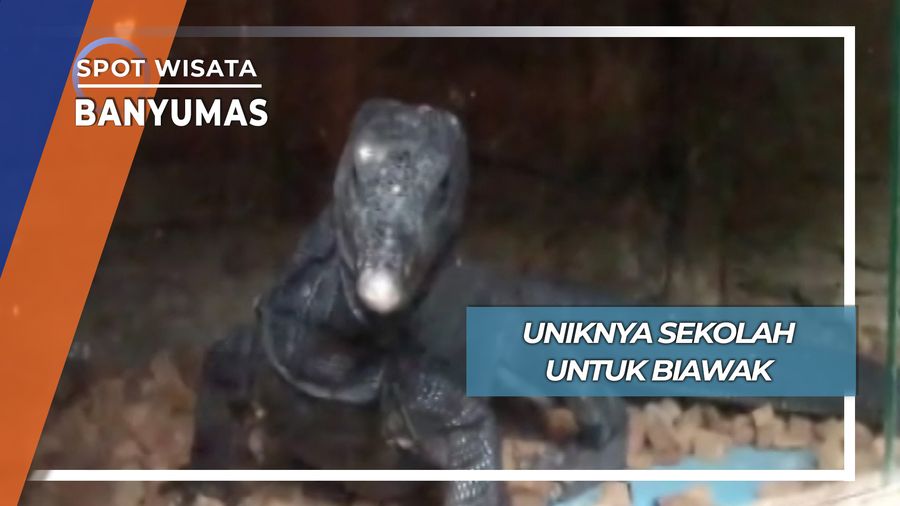 Sekolah Biawak, Banyumas 