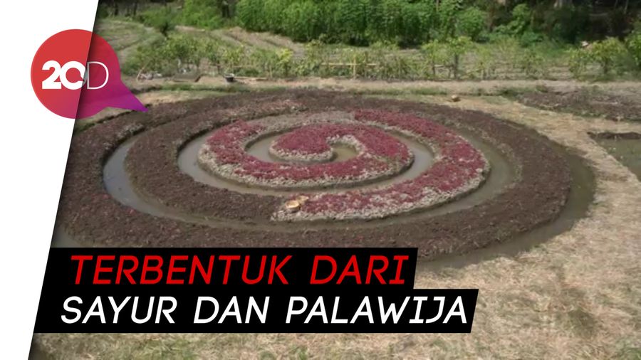 Unik! Ada Crop Circle Bermotif Batik Warna-warni di Klaten