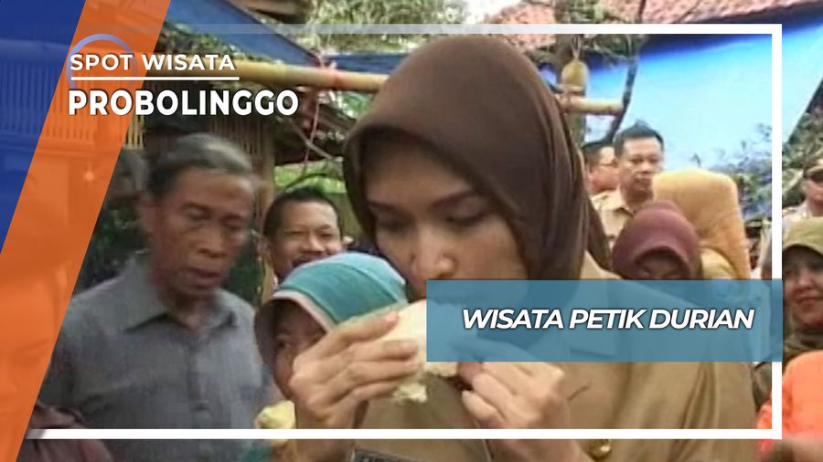 Wisata Petik Durian, Probolinggo