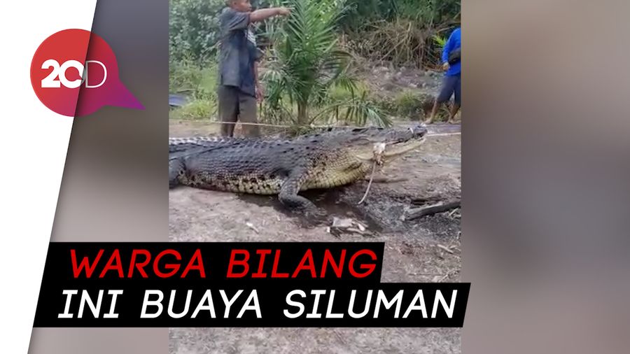 Rekaman CCTV Saat Kantor DPC PDIP Cianjur Dilempar Molotov