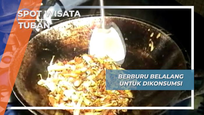 Kuliner Ekstrim, Nikmati Belalang Hasil Buruan Desa Kembangbilo Tuban