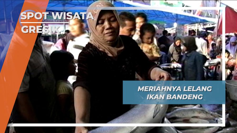 Asik Seru Lelang Ikan Bandeng Jumbo Gresik