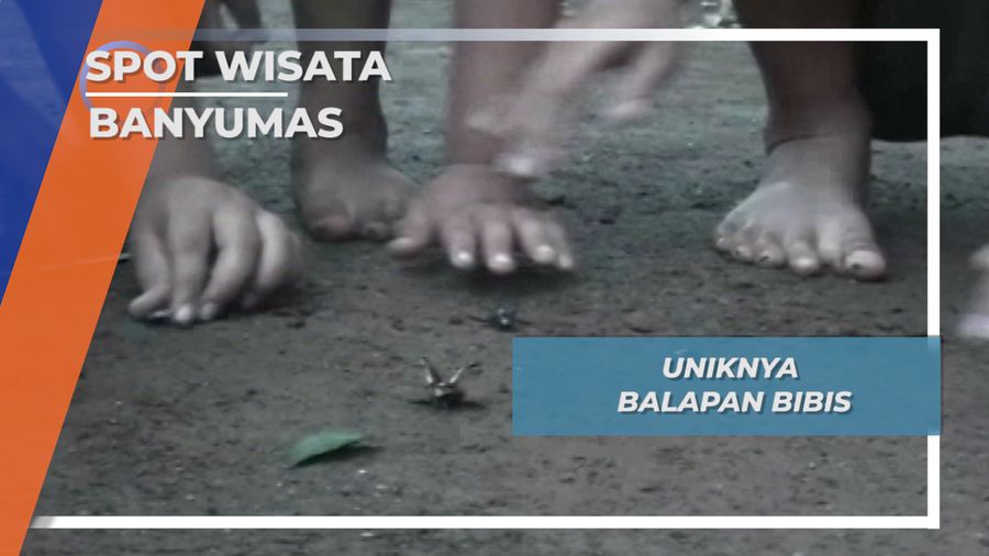 Kontes Satwa Balapan Bibis, Banyumas