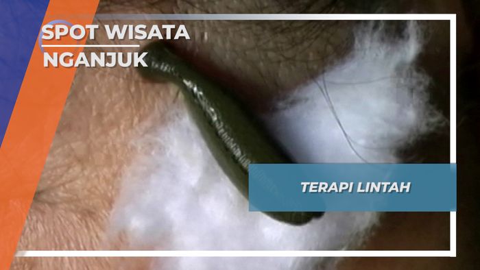 Wisata Nganjuk, Rumah Terapi Lintah Desa Selorejo 