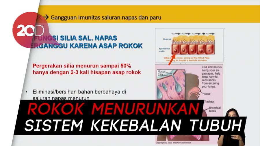Perokok Pasif Juga Lebih Rentan Terinfeksi Covid-19