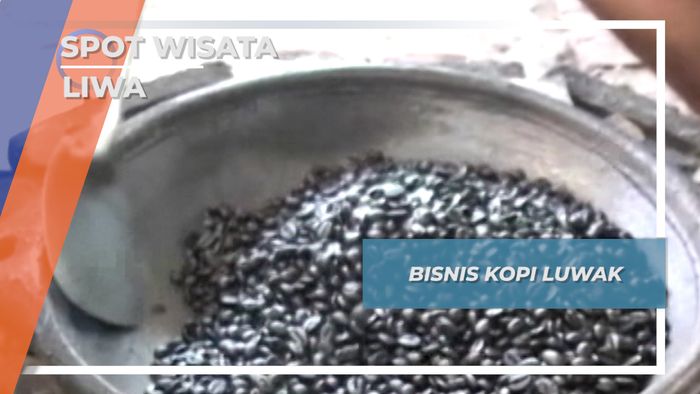 Bisnis Unik Kopi Luwak Liwa Lampung