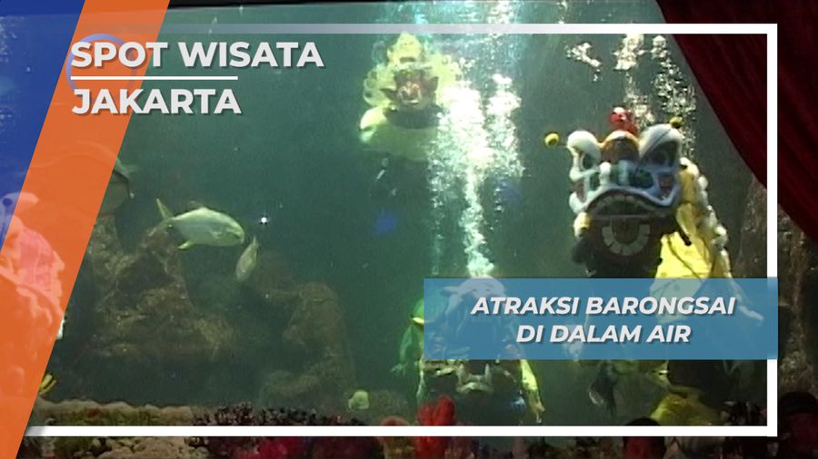 Atraksi Bersama Barongsai Dan Barong Bali Jakarta