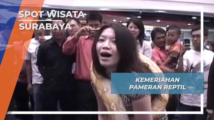 Satwa Menarik Kota Surabaya, Reptil 