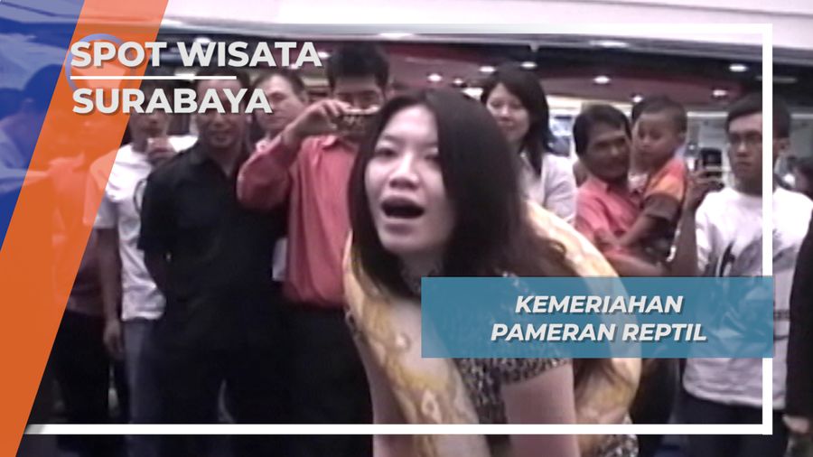 Satwa Menarik Kota Surabaya, Reptil 