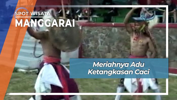 Tradisi Caci, Baku Pukul Tradisisional ala Manggarai