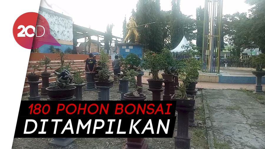 Pameran Bonsai Ikut Meriahkan HUT RI ke-75