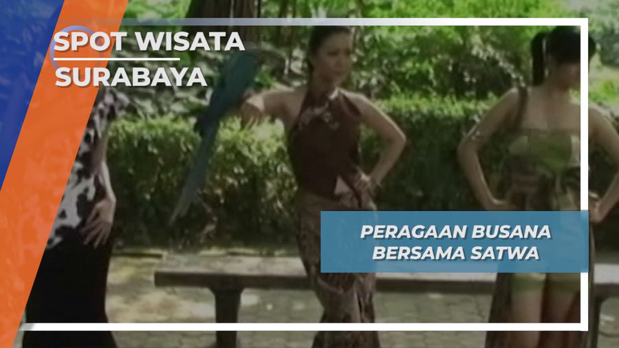 Satwa Unik Surabaya, Peagaan Busana Bersama Hewan