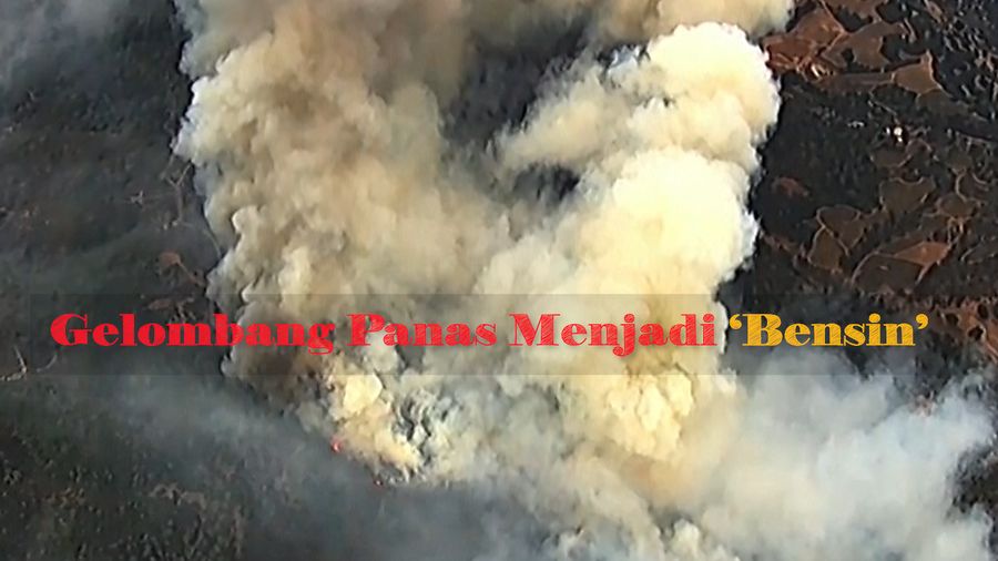 Kebakaran Hutan di California Meluas Tak Terkendali