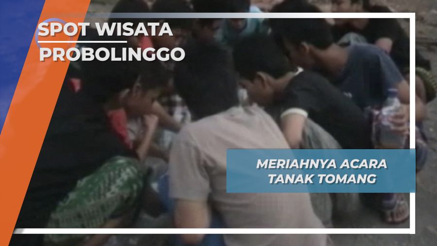 Meriahnya Acara Tanak Tomang, Probolinggo