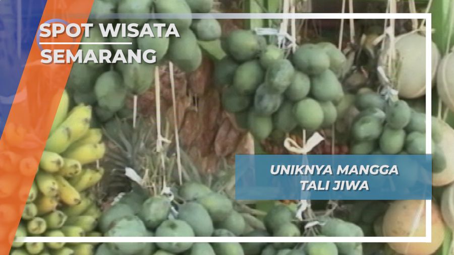Mangga Tali Jiwa khas Banyumanik Semarang