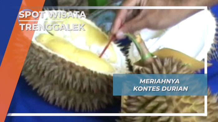 Trenggalek Sentra Penghasil Durian 