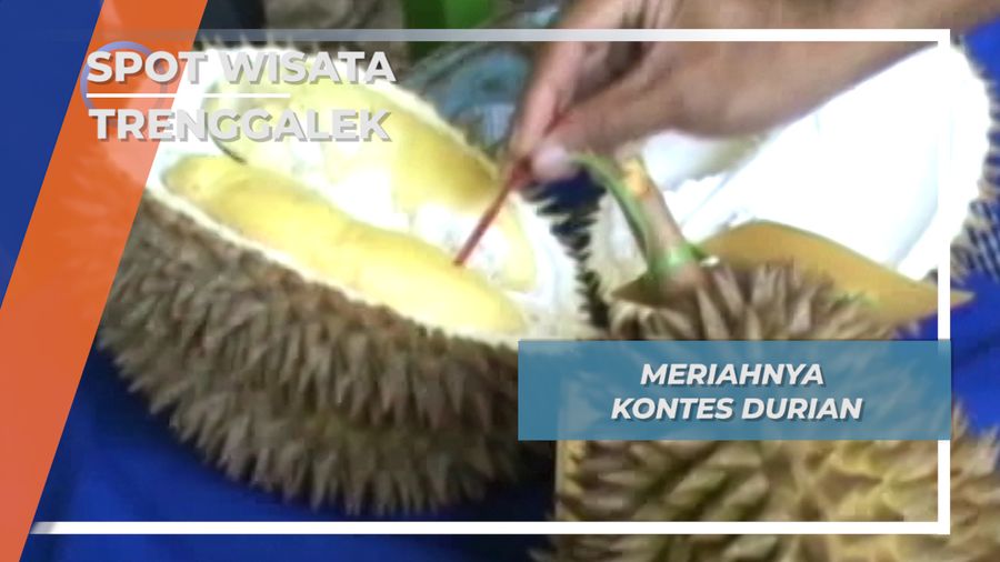 Trenggalek Sentra Penghasil Durian 
