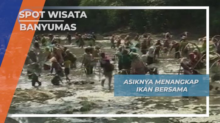 Tangkap Ikan Bersama ala Emak Emak Sungai Tajum Banyumas