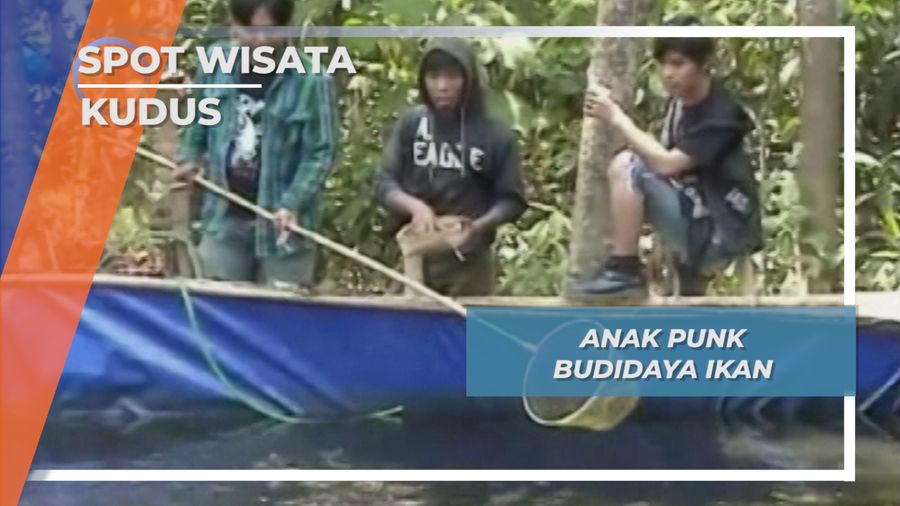 Budidaya Ikan ala Anak Punk Desa Jepang Pakis Jati Kudus