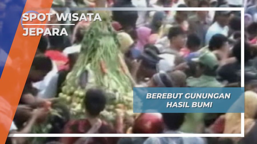 Berebut Gunungan, Tradisi Sedekah Bumi Desa Mantingan Tahunan Jepara