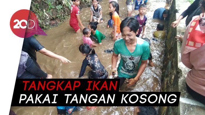 Keseruan Anak-anak di Ciamis Ngobeng Ikan di Libur Panjang