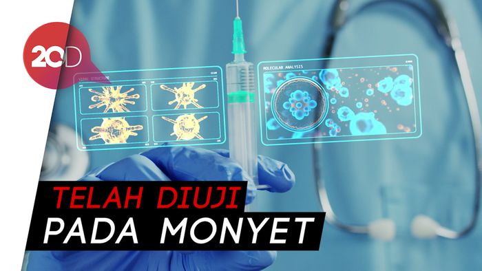 China Kembangkan Vaksin Corona dari Sel Serangga