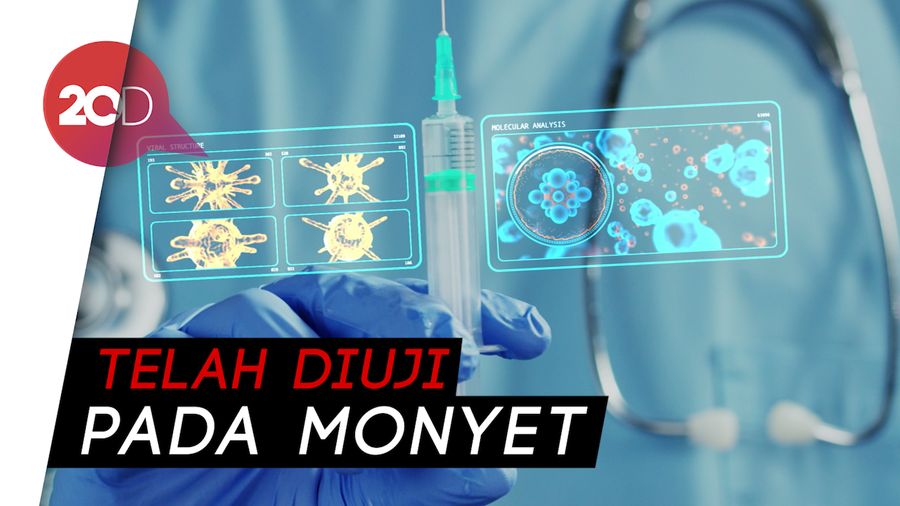 China Kembangkan Vaksin Corona dari Sel Serangga