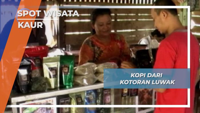 Kopi dari Kotoran Luwak, Kaur