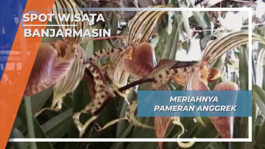Ragam Flora dan Fauna Banjarmasin, Pameran Anggrek