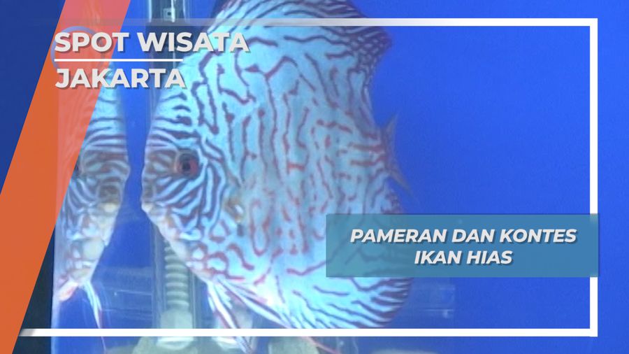 Ragam Flora dan Fauna Jakarta, Pameran Ikan Hias
