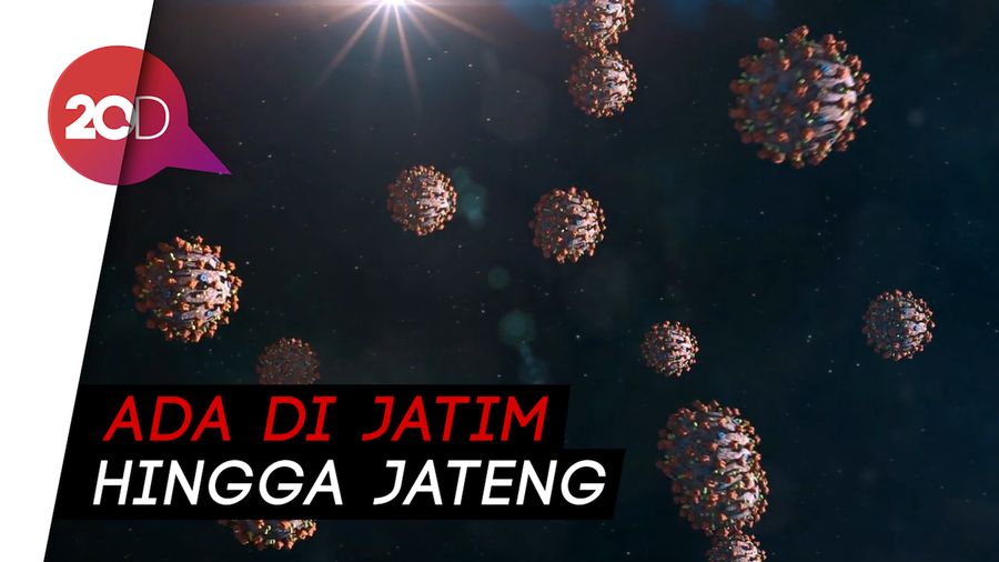 Selain 3 Negara ASEAN, Mutasi Corona D614G Juga Ada di Indonesia