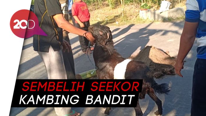 Warga Madiun Sembelih Kambing, Ritual Tolak Bala-Usir Corona