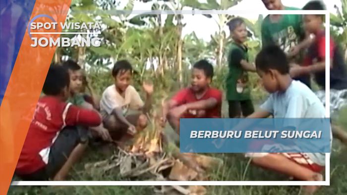 Berburu Belut Sungai Jombang