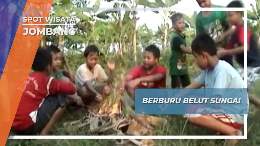 Berburu Belut Sungai Jombang