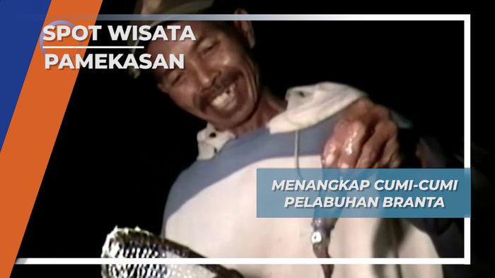 Berburu Cumi-Cumi Pelabuhan Branta Pamekasan